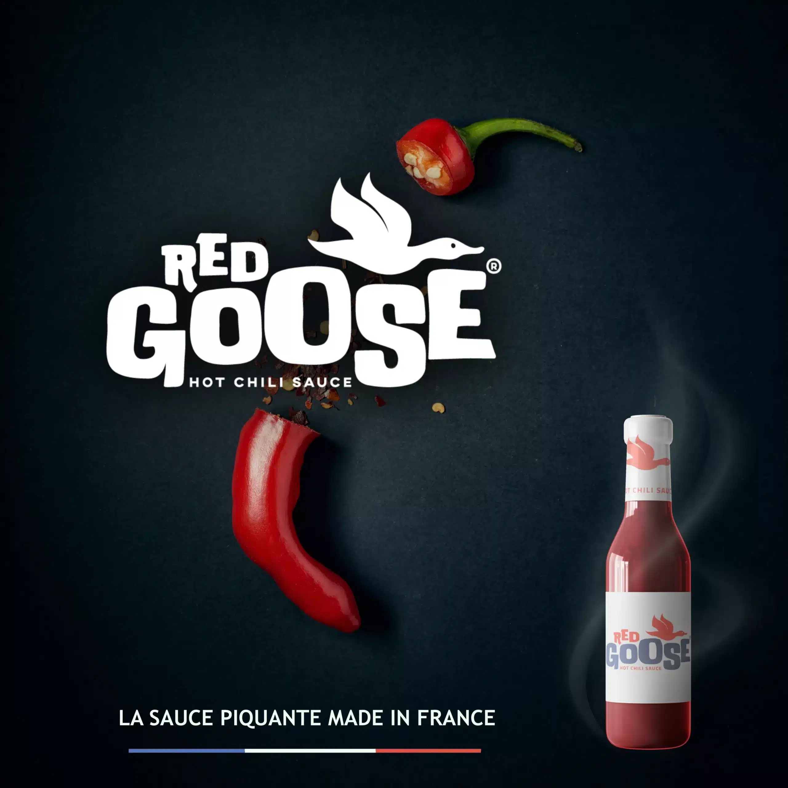 benoit-hoube.fr_Graphiste Rouen_logo_Red-Goose_publicite_communication_branding_rouen