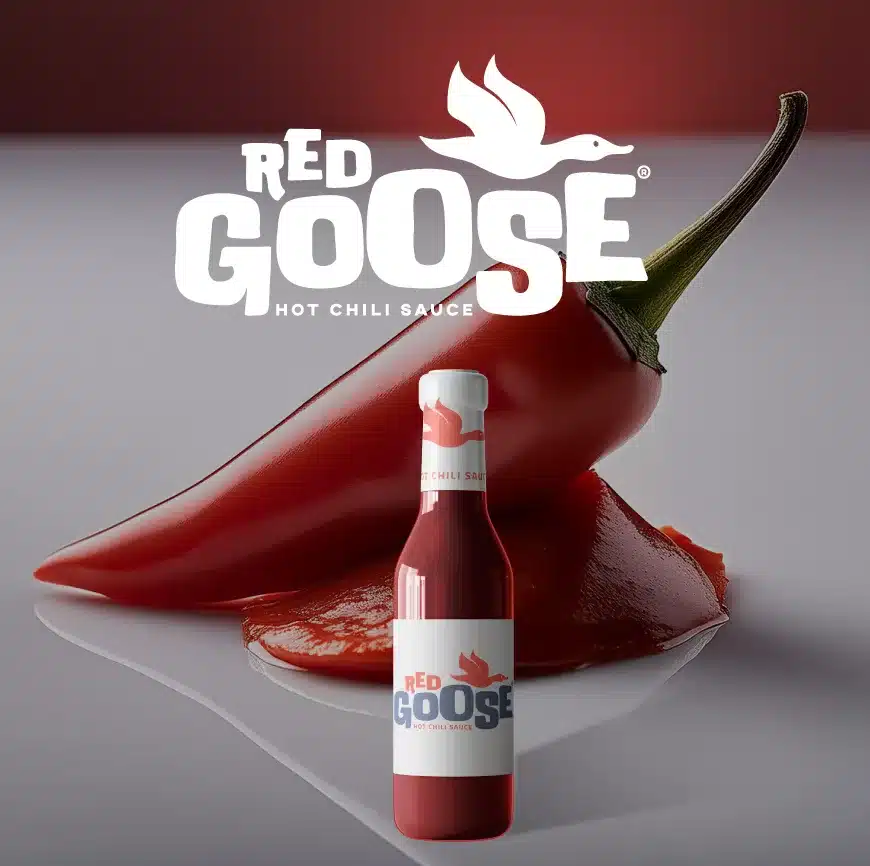 benoit-hoube.fr_Graphiste Rouen_logo_Red-Goose_publicite_communication_fire_fly_ai_sauce_branding_rouen