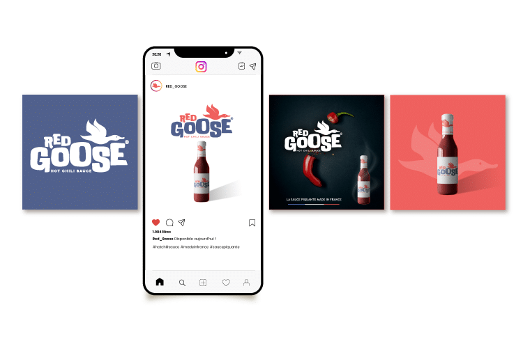 benoit-hoube.fr_Graphiste Rouen_logo_Red-Goose_instagram_rouen